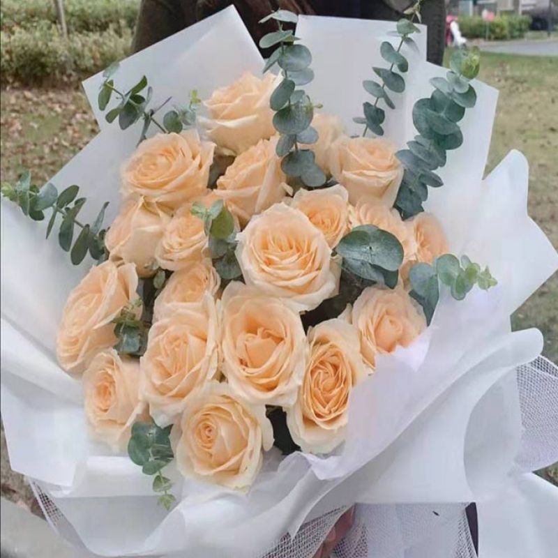 19枝香槟玫瑰尤加利叶点缀白色雾面纸线网外围精美花束