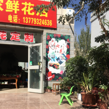 博湖县一花一世界